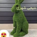 المانشهری خرگوش