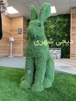 المانشهری خرگوش