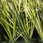 چمن مصنوعی کد 006