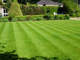 الگوی موفق جهانی در توسعه چمن طبیعی: