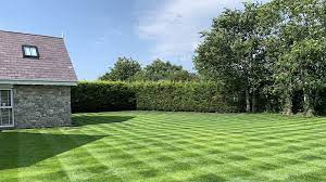 موفق ترین نمونه های جهانی چمن طبیعی فضای سبز: