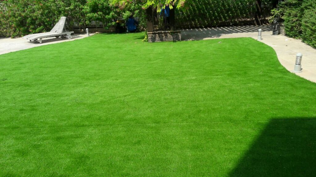 راهنمای جامع انتخاب چمن طبیعی تهران چمن
