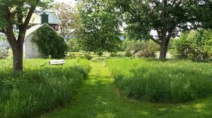 آیا نگهداری از چمن طبیعی سخت است؟