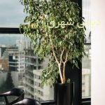 گلدان فایبرگلاس کد gfg09