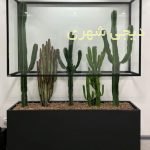 گلدان فایبرگلاس کد gfg03