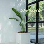 گلدان فایبرگلاس کد gfg02