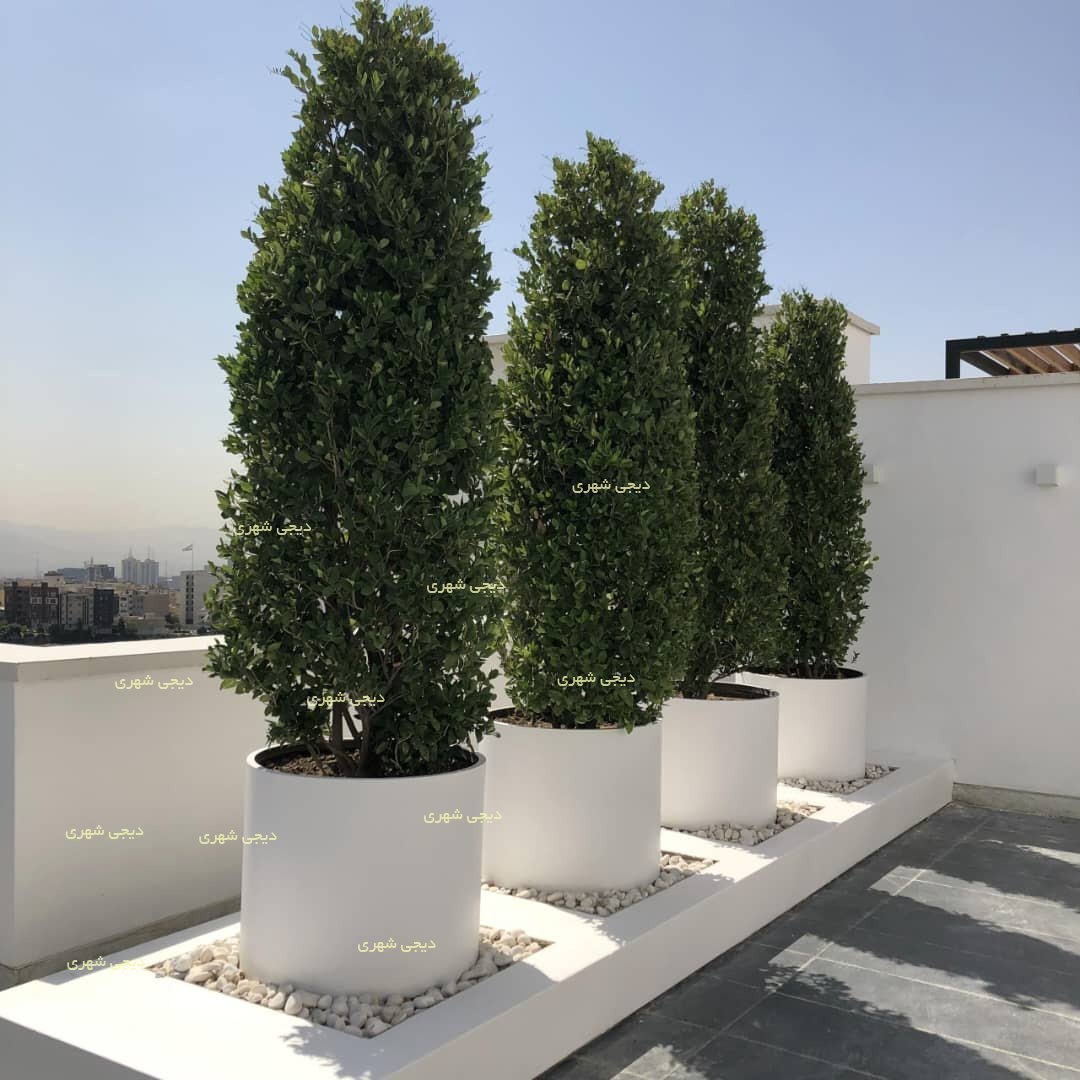 گلدان فایبرگلاس کد gfg01 گلدان فایبرگلاس کد gfg01