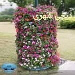 فلاروباکس کد fb01