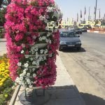 فلاروباکس طبقاتی کد fb011