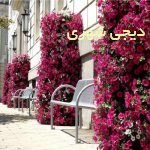 فلاروباکس طبقاتی کد fb03