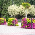 فلاروباکس طبقاتی کد fb018