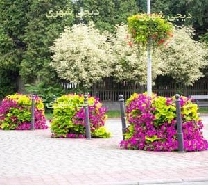 فلاروباکس طبقاتی کد fb018