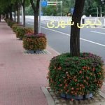فلاروباکس طبقاتی کد fb024
