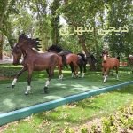 المانشهری اسب کد en80